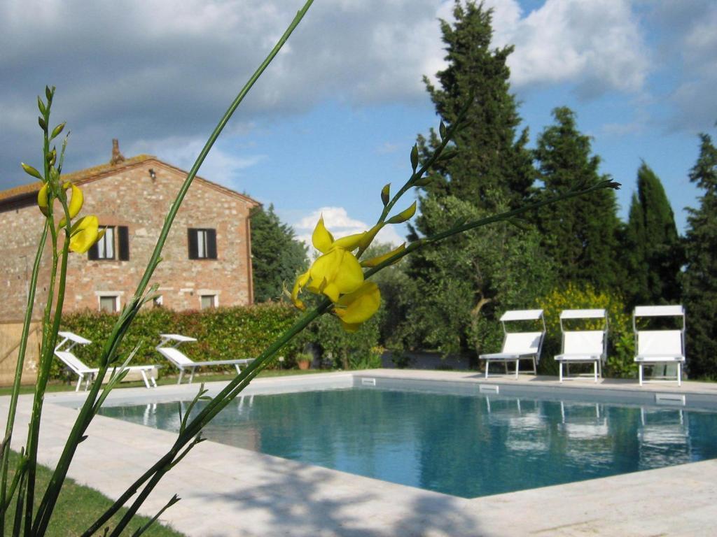 Certine Agriturismo Asciano Exterior photo